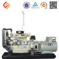 Ricardo China Weifang Dieselmotorgenerator